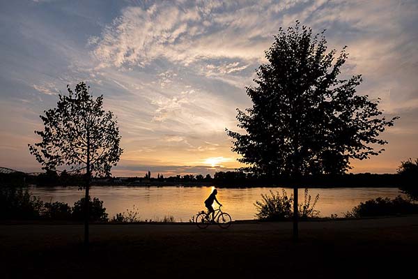 A person cycling by a lake
