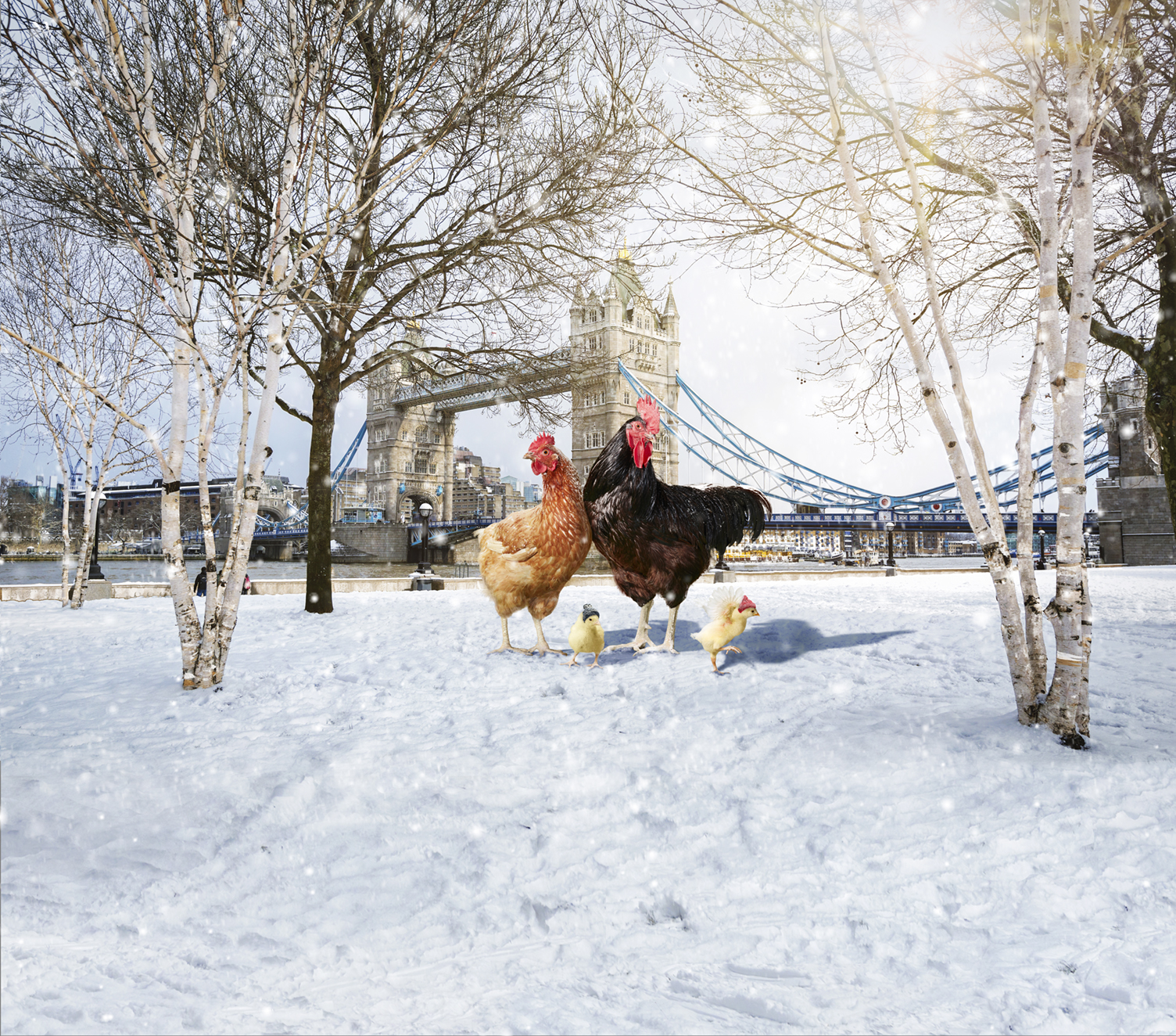 A winter scene in London