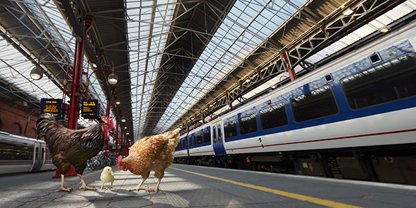 Chicken family at Marylebone station link to how to book your family travelcard video on Youtube