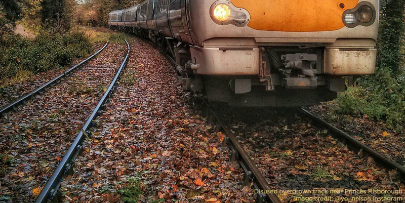 Chiltern Railways Leaf Fall Timetable starts Monday 7th October for customers in Aylesbury