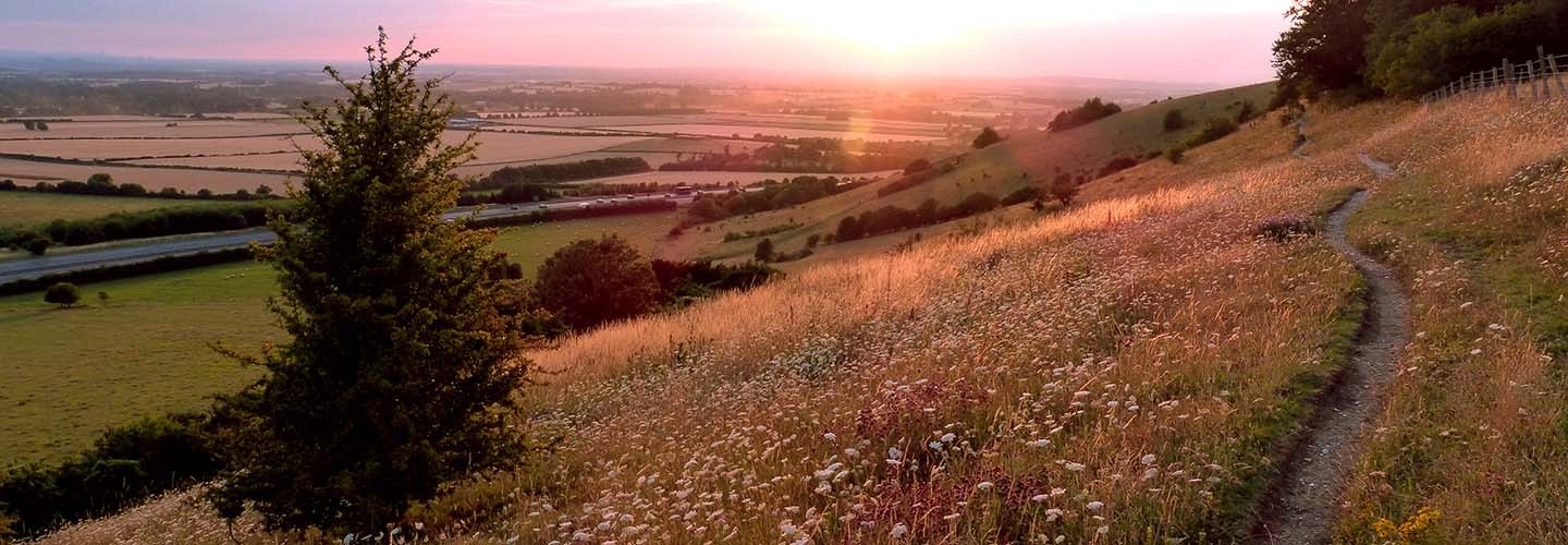 Experience the Chiltern Hills with the Saunderton Circular Walk