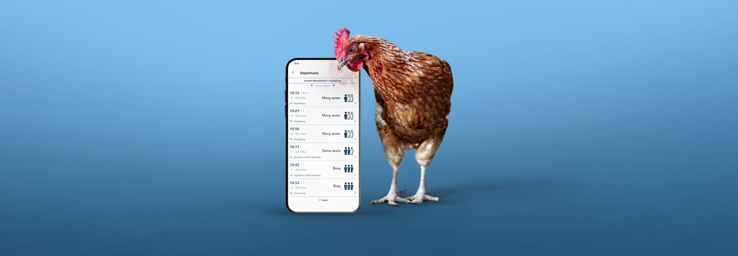 Chiltern Chicken with phone showing capacity checkers on the Chiltern website