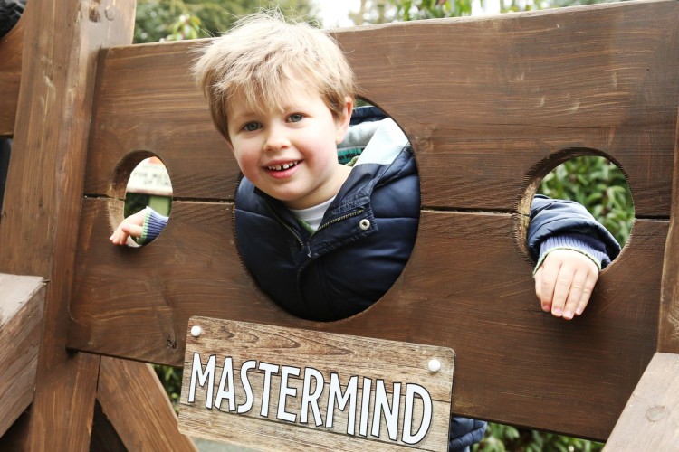 Warwick Castle Maze