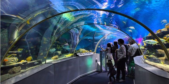 Destination Birmingham - Sea Life Centre
